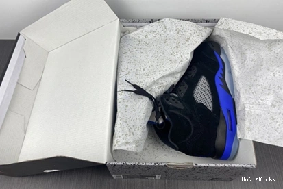 5 CT4838- 579 Air Blue” Elegant Jordan 4232 “Racer 1109